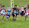 2011 NEHL Cramlington